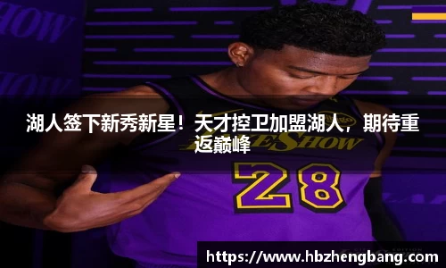 快盈VIII